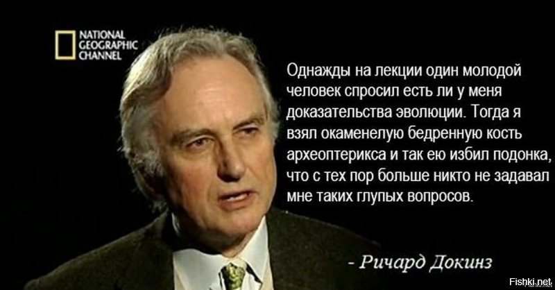 Видео: эволюция человеческого лица за последние 6 миллионов лет