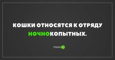 ..а еще "Ночноорущих", "Ночножрущих", Ночнопяткицарапающих", "ночночтотороняющих", да и еще много чего "ночно..")