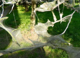 В Риге теже хрень творится