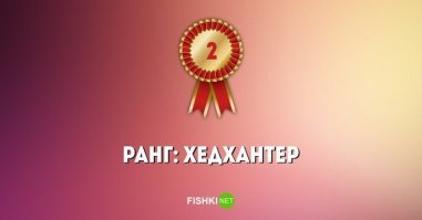 Нетривиальный тест на знание современных профессий