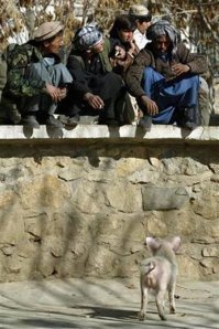 Думал у них там рынки до сих пор такие.
А из развлечений только зоопарк)