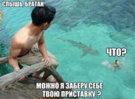 Видео: гигантская акула-людоед рядом с ничего не подозревающими серферами