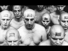 Новые водительские права «убьют» российские паспорта