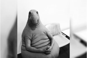 Газелькин. Не довезем, а доведем