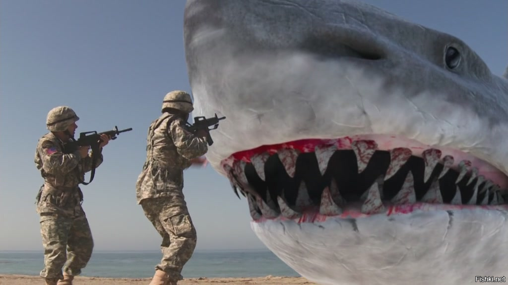 Нападение шестиглавой акулы