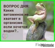 Как бороться с похмельем