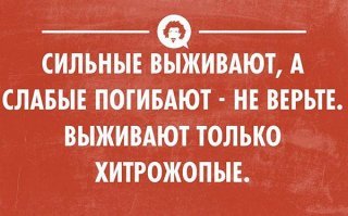 Подборка афоризмов