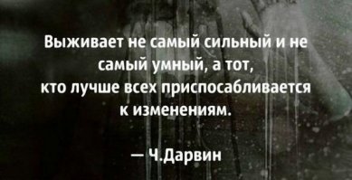 Подборка афоризмов