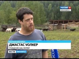 чет они все на одно лицо