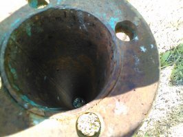 Действительно такие странные места для гнёзд находят, порой. У нас в ящике на столбе, где стоит электросчётчик, свили гнездо. К сожалению фоток нет. А вот прямо сейчас на работе сфотографировала на телефон (качество не очень, но понятно вроде). Стоит Металлическая труба. на которой раньше был установлен шлагбаум. А теперь там гнездо синичек с четырьмя птенцами.