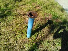 Действительно такие странные места для гнёзд находят, порой. У нас в ящике на столбе, где стоит электросчётчик, свили гнездо. К сожалению фоток нет. А вот прямо сейчас на работе сфотографировала на телефон (качество не очень, но понятно вроде). Стоит Металлическая труба. на которой раньше был установлен шлагбаум. А теперь там гнездо синичек с четырьмя птенцами.