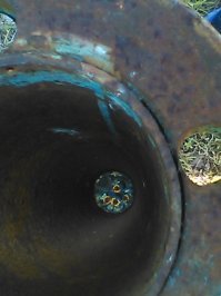 Действительно такие странные места для гнёзд находят, порой. У нас в ящике на столбе, где стоит электросчётчик, свили гнездо. К сожалению фоток нет. А вот прямо сейчас на работе сфотографировала на телефон (качество не очень, но понятно вроде). Стоит Металлическая труба. на которой раньше был установлен шлагбаум. А теперь там гнездо синичек с четырьмя птенцами.