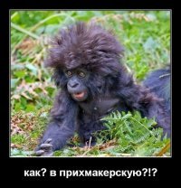 Папа с дочкой обожают стильные прически!