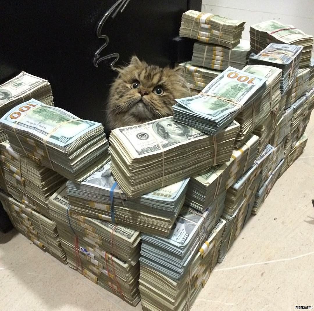 Кучка денег. Деньги в руках доллары. Денег много не бывает. Куча денег. Много денег.