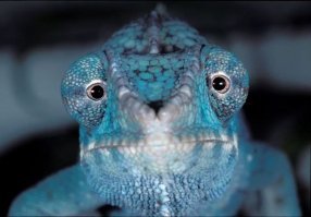 Камеры 360° - виртаульная реальность все ближе