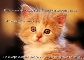 Ты специализируешься на котоматрицах?
.