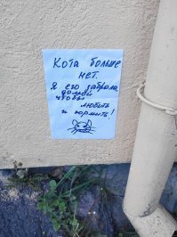 Демотиваторы с кошками