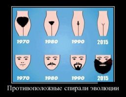 Опровергнута самая популярная теория эволюции