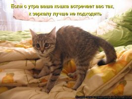 Ты такое имеешь ввиду?