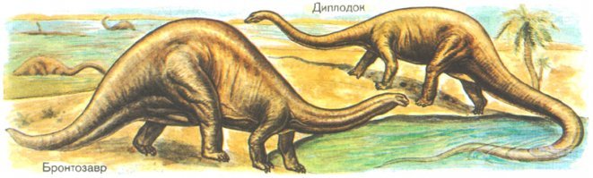 Да их вагон и маленькая тележка видов длинношеих этих. Смысл картинки то не меняется.