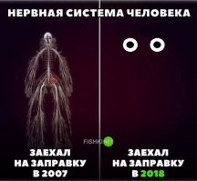 какие нервы, их нет