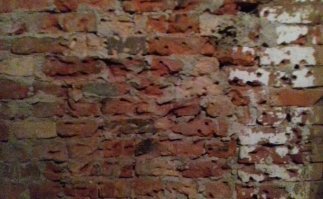 Константин Бабкин: «Меня бы на этом завтраке стошнило»