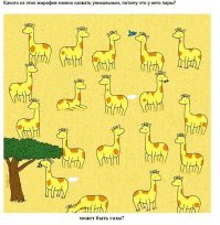 Все ищут леденец: новая визуальная загадка разлетелась в Сети как вирус