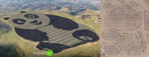 Ожидение Реальность