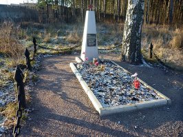 13 января 1943 года в бою за Синявинские высоты у поселка Марьино (ныне в черте города Кировск Ленинградской области) стрелковой роте 270-го стрелкового полка 136-й стрелковой дивизии Ленинградского фронта, в которой находился стрелок красноармеец Дмитрий Семёнович Молодцов, была поставлена задача уничтожить батарею 305-миллиметровых пушек, обстреливавших наши позиции. Продвижение роты было остановлено пулемётным огнем из дзота, прикрывавшим позиции батареи. Молодцов добровольно вызвался подавить вражескую огневую точку. Он подобрался к дзоту и несколькими гранатами заставил замолчать пулемёт противника. Но когда рота перешла в атаку, пулемёт заработал снова. Не имея гранат, воин закрыл своим телом амбразуру дзота. Рота захватила батарею противника, двенадцать автомашин, несколько пулеметов, много снарядов и различного военного имущества.
Указом Президиума Верховного Совета СССР от 10 февраля 1943 года за образцовое выполнение боевых заданий Командования на фронте борьбы с немецкими захватчиками и проявленные при этом отвагу и геройство красноармейцу Молодцову Дмитрию Семеновичу присвоено звание Героя Советского Союза (посмертно).
Могила Героя находится в Кировске. В городе Сертолово (Ленинградской области) его именем названа центральная улица, памятник установлен у школы  1.