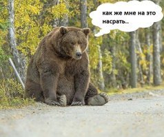 Волочкова взбесила фанатов своим видео с больным котиком