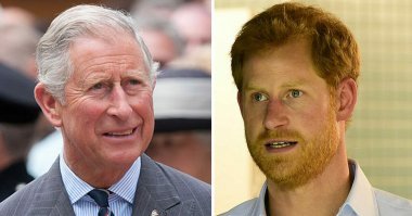 Ни фига Гарри на первого мужика не похож. Просто оба рыжие. А в Англии, по ходу, у всех в роду имеются "рыжие" гены. И посмотрите на эту массивную нижнюю челюсть у Гарри. У первого мужика совсем не такая. Да и носяра у Гарри, как у Чарльза. Ну, может, чуть поменьше, ну дык, мама-то красавицей была, вот Гарри и не такой страшный, как Чарльз.