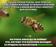И у пчёл тоже есть атеисты, которые считают, что никакого пасечника не существует.