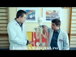 Почему у человека нет кости в члене?