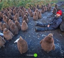 У чувака сломан позвоночник, а эти "твари" ждут, когда он умрет, что бы сожрать его.