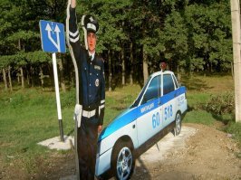 Повез  на селфи....