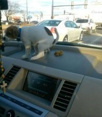 я смотрю, ты ни одного из высказавшихся не пропустил, всем ответил, чисто как смог ?