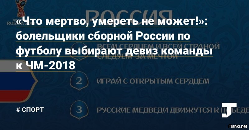 «Нет у нас сборной, мы стоим на краю пропасти»