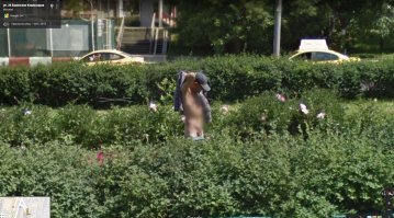 Самые странные и непонятные вещи, попавшие в камеру Google Maps