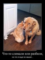 Что сломали? Сломали веру в нессущего в тапок кота. :)