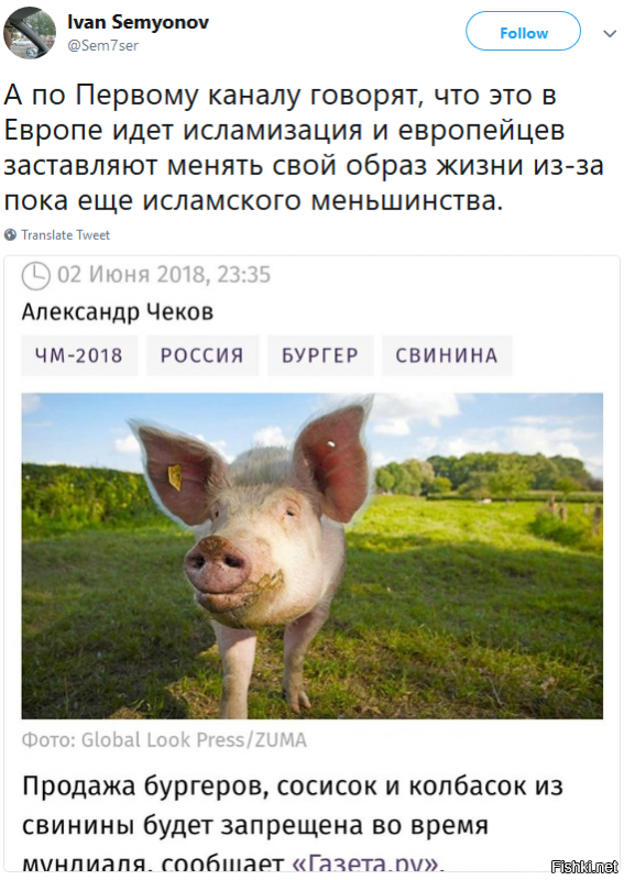 О неожиданном втором языке Швеции и европейском выборе «соседей»