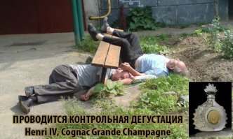 Отличить хорошее спиртное от плохого смогут только профессионалы