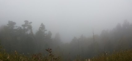 а бывает и такое