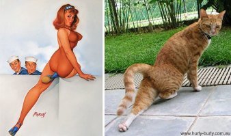 Туфлю в зад то зачем засунули?