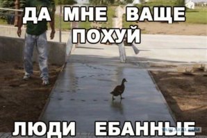 16 человек, у которых день явно не задался