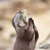 Пожилая башкирка много лет принимала Уголовный Кодекс за Коран