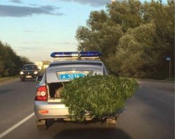 Сегодня 300 лет полиции. Решили собрать небольшую подборочку
