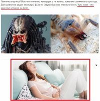 Шутка от Яндекса))