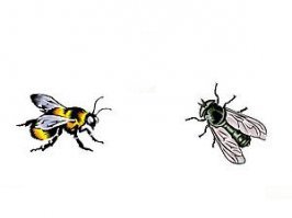 В России улыбаются все: на федеральном канале отфотошопили фото Ким Чен Ына