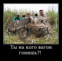 Как сошедшие поезда или вагоны возвращают на рельсы?