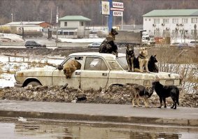 20 раз, когда люди решили спасти свои вещи от кражи самым смешным образом
